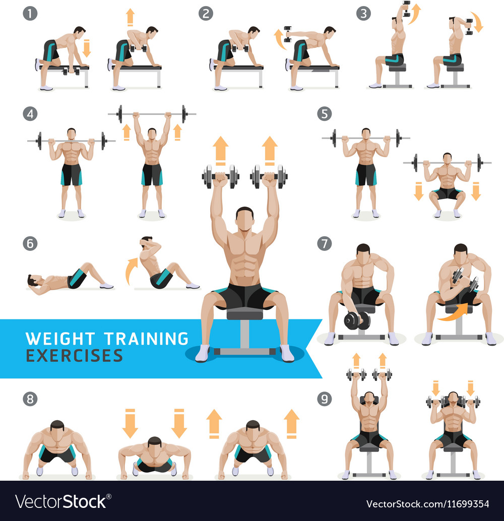 Premium Vector  Back workout set on white background exercises