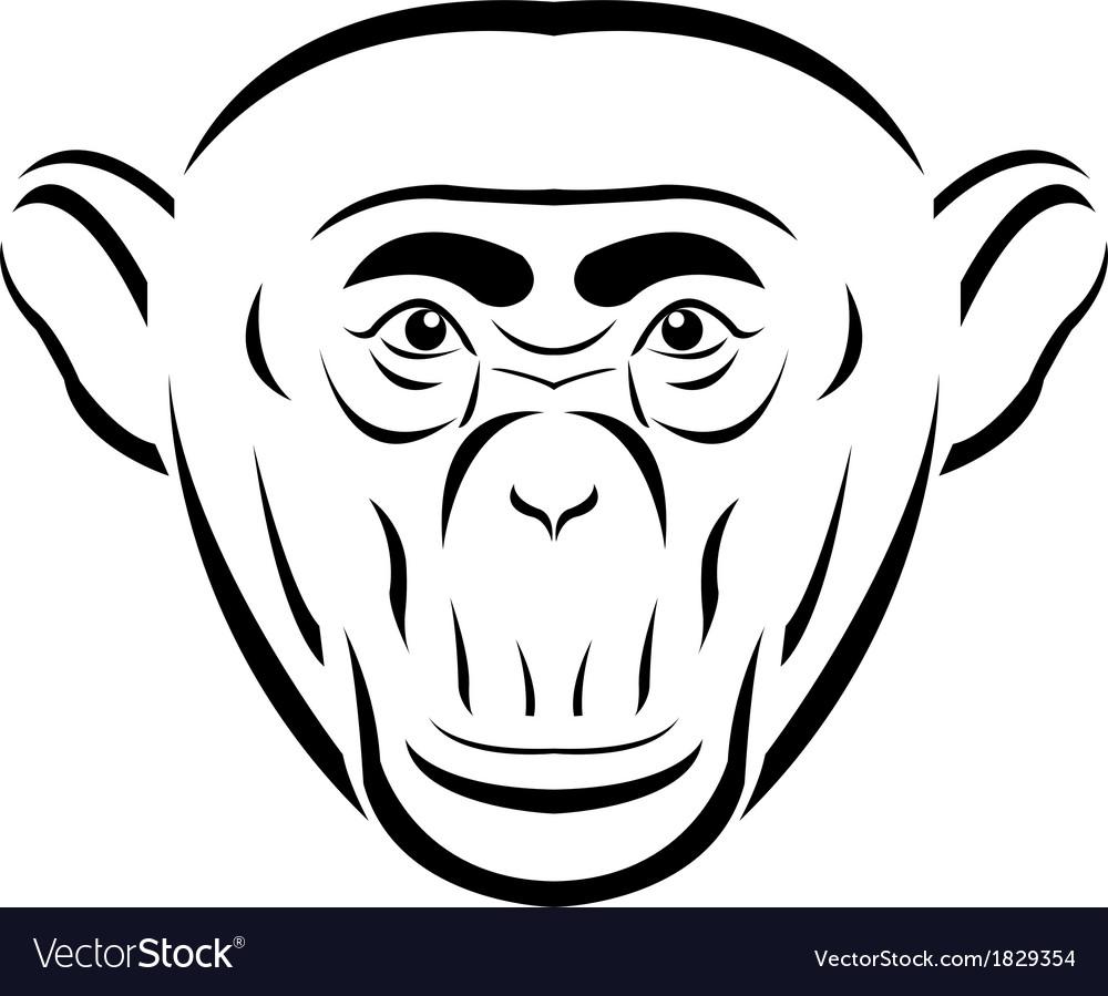 Line art chimpanzee