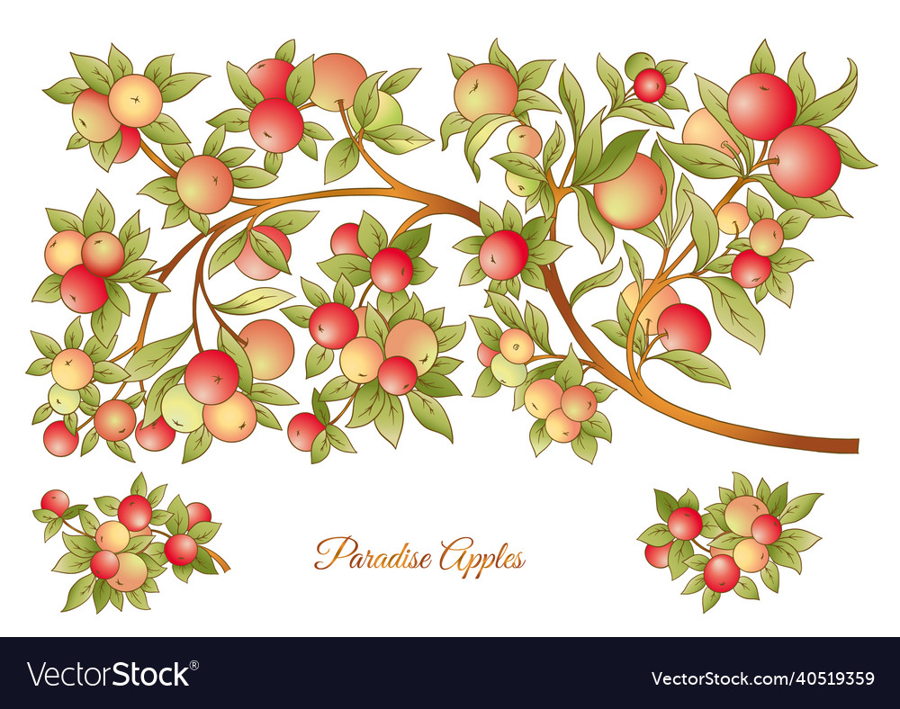 Apples on branches element for design