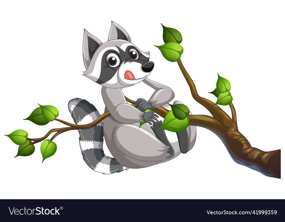 Raccoon hanging on tree branch Royalty Free Vector Image