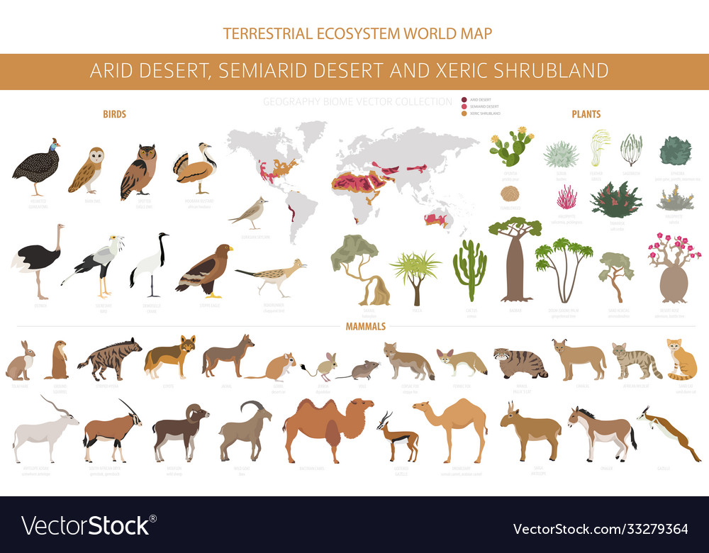 Desert biome xeric shrubland natural region Vector Image