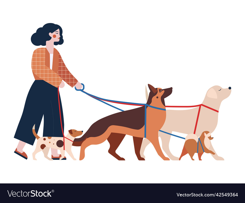 Pet sitter woman with group of dogs Royalty Free Vector