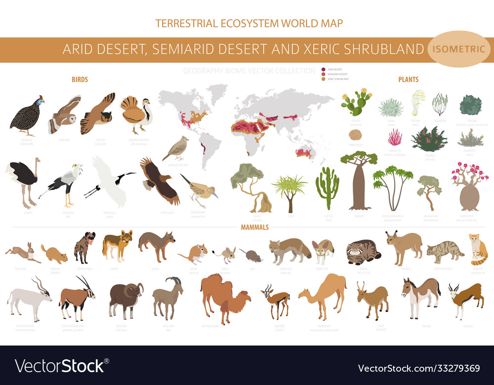 Desert biome xeric shrubland natural region Vector Image