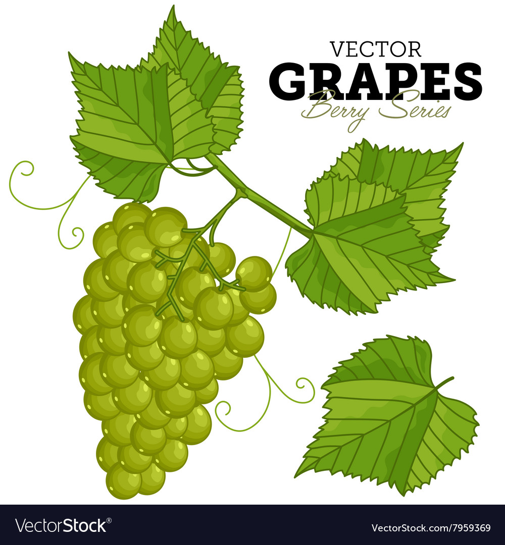 Grape set