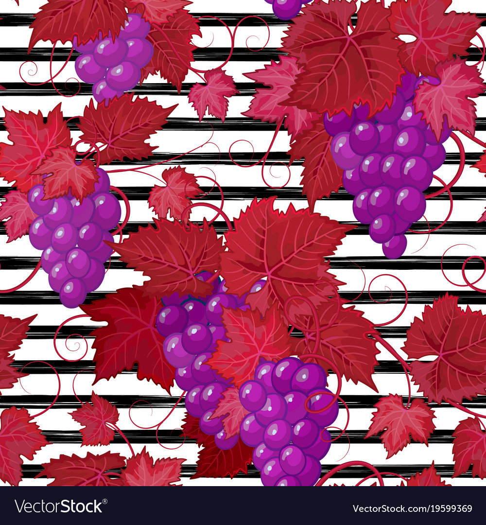 Seamless pattern with grape on strips summer