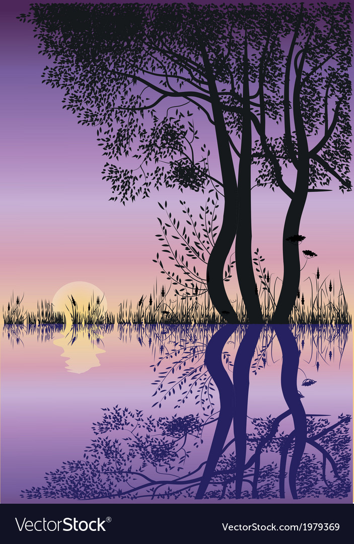 Trees by the lake