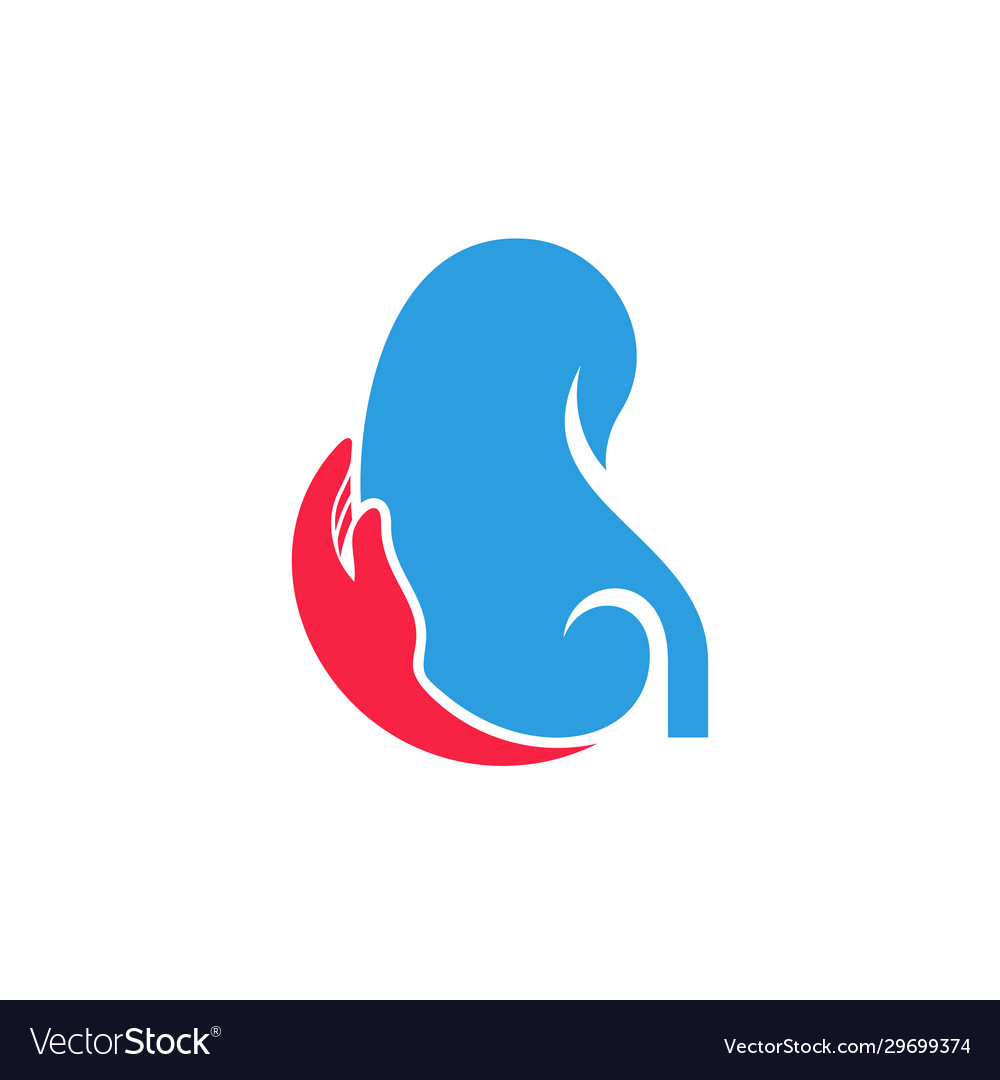 Kidney care logo design inspiration template Vector Image