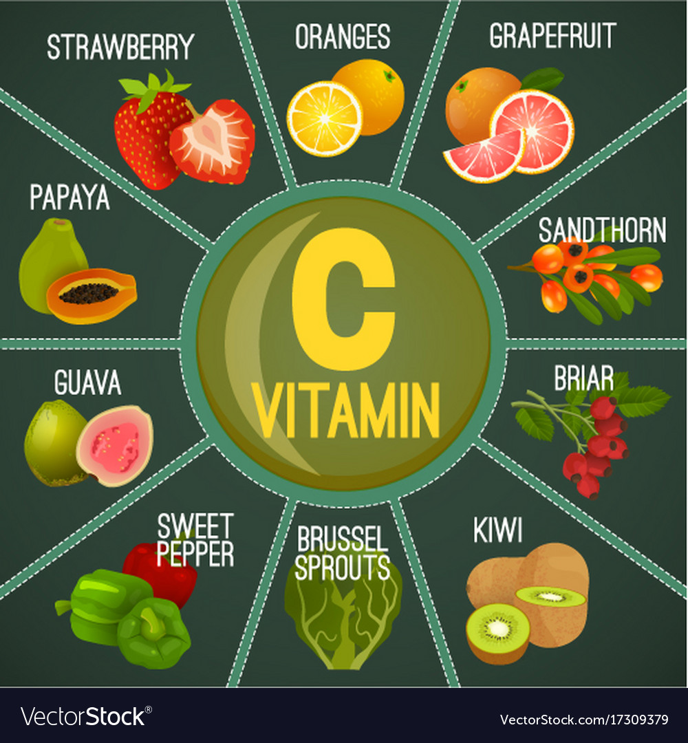 Vitamin c in food Royalty Free Vector Image - VectorStock