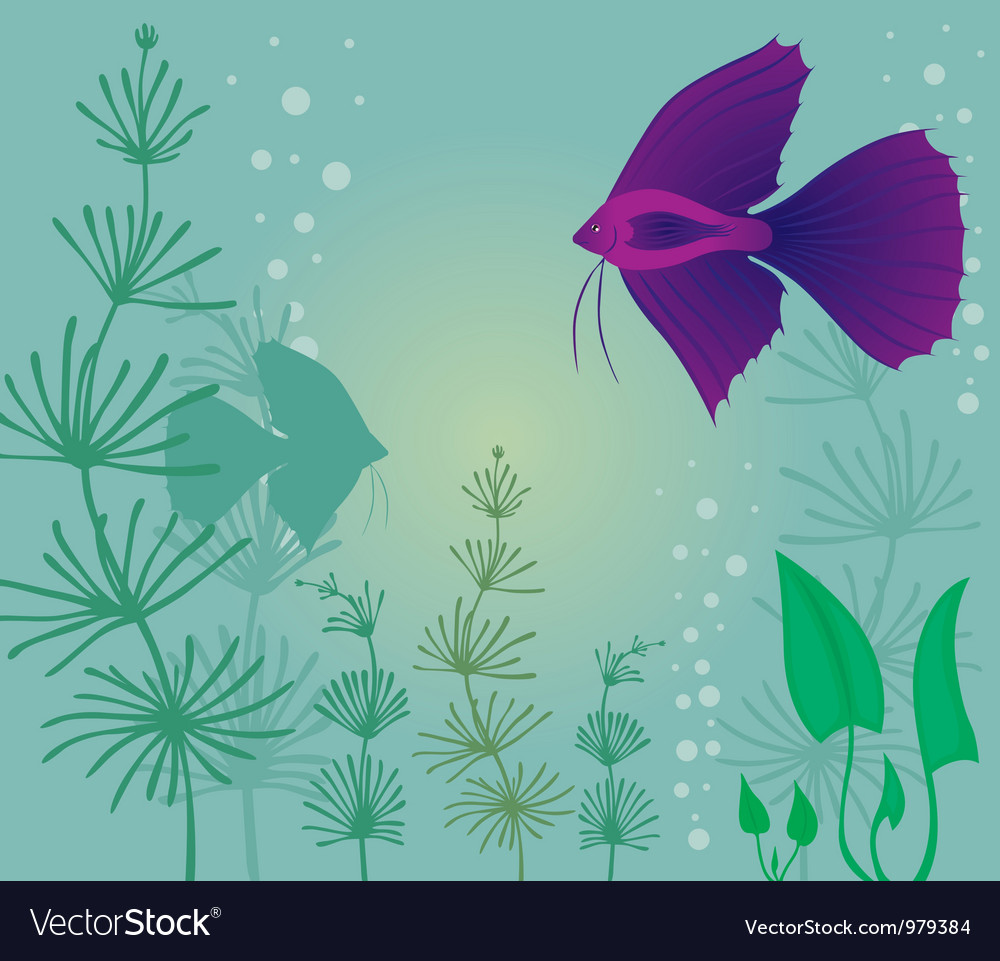 Download Aquarium Royalty Free Vector Image - VectorStock