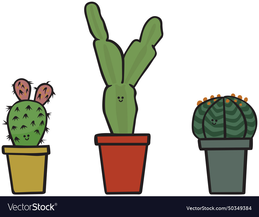 Cute plant trio