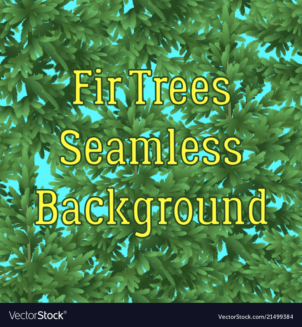 Seamless background fir trees