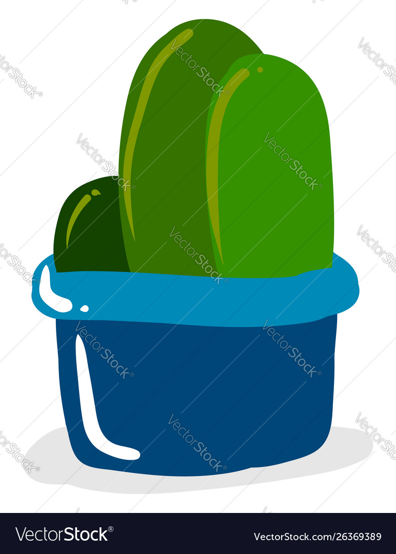 Cactuses in pot on white background