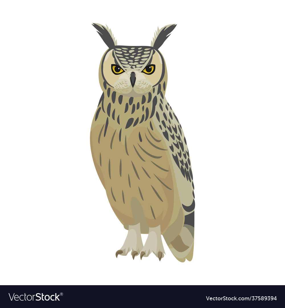 Owl bird cartoon icon Royalty Free Vector Image Owl bird cartoon icon Royalty Free Vector Image