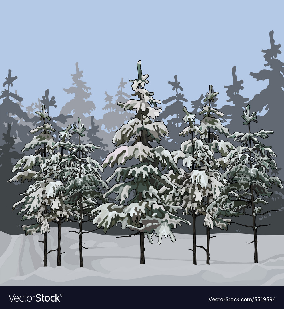 Winter forest with fir trees