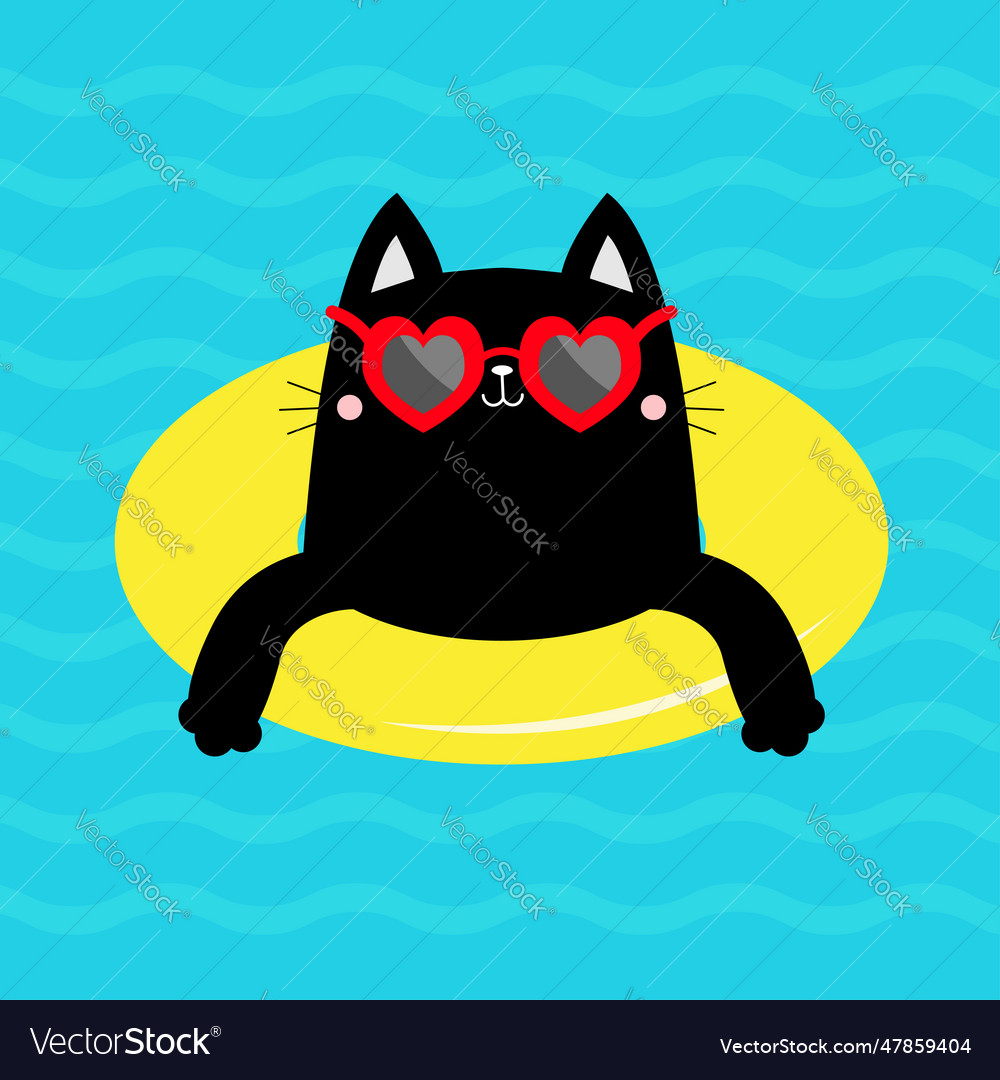 Black cat kitten floating on yellow pool float