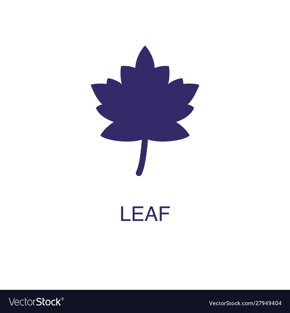 Leaf element in flat simple style on white