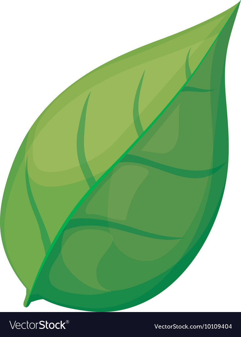 Leaf nature plant eco icon graphic Royalty Free Vector Image