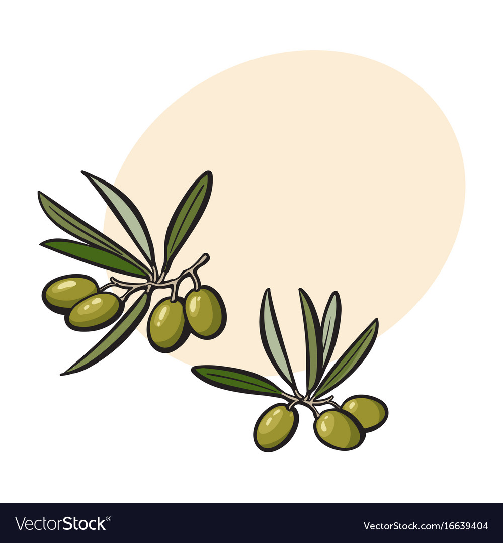 Olives mint and rosemary herbs spices