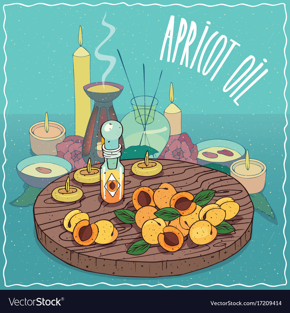 Apricot oil used for aromatherapy Royalty Free Vector Image