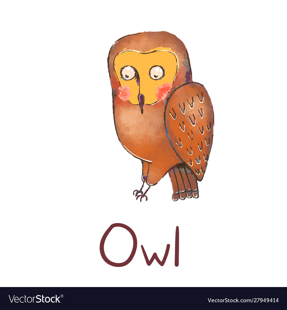 Colorful cute owl isolated Royalty Free Vector Image