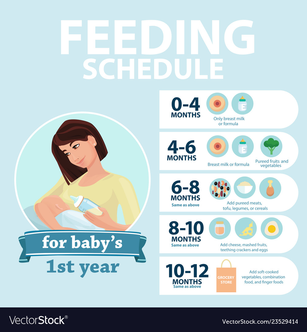 Feeding Schedule For Babies 1 Year Tips Royalty Free Vector