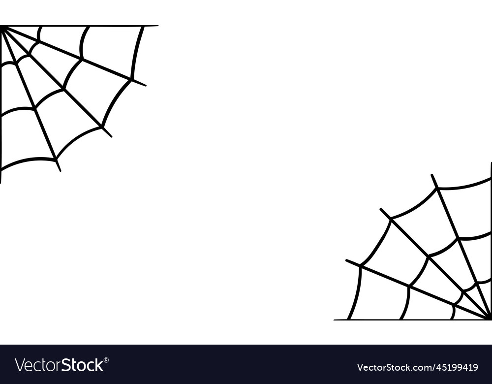 Cobweb background