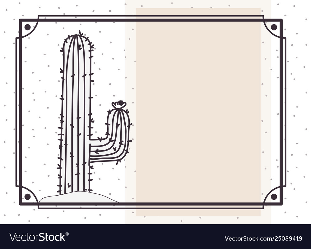 Pattern cactus in frame isolated icon vector image Pattern cactus in frame isolated icon