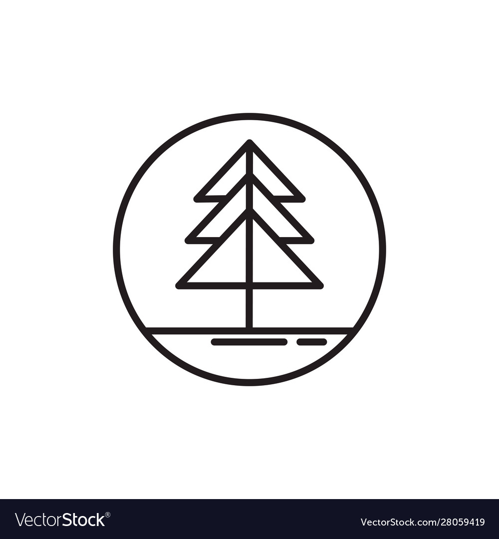 Pine tree plant line style Royalty Free Vector Image