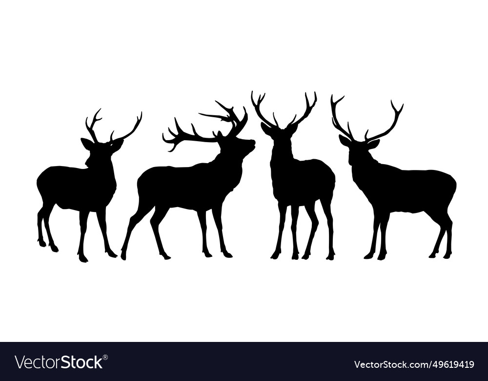 Set silhouettes of deer Royalty Free Vector Image