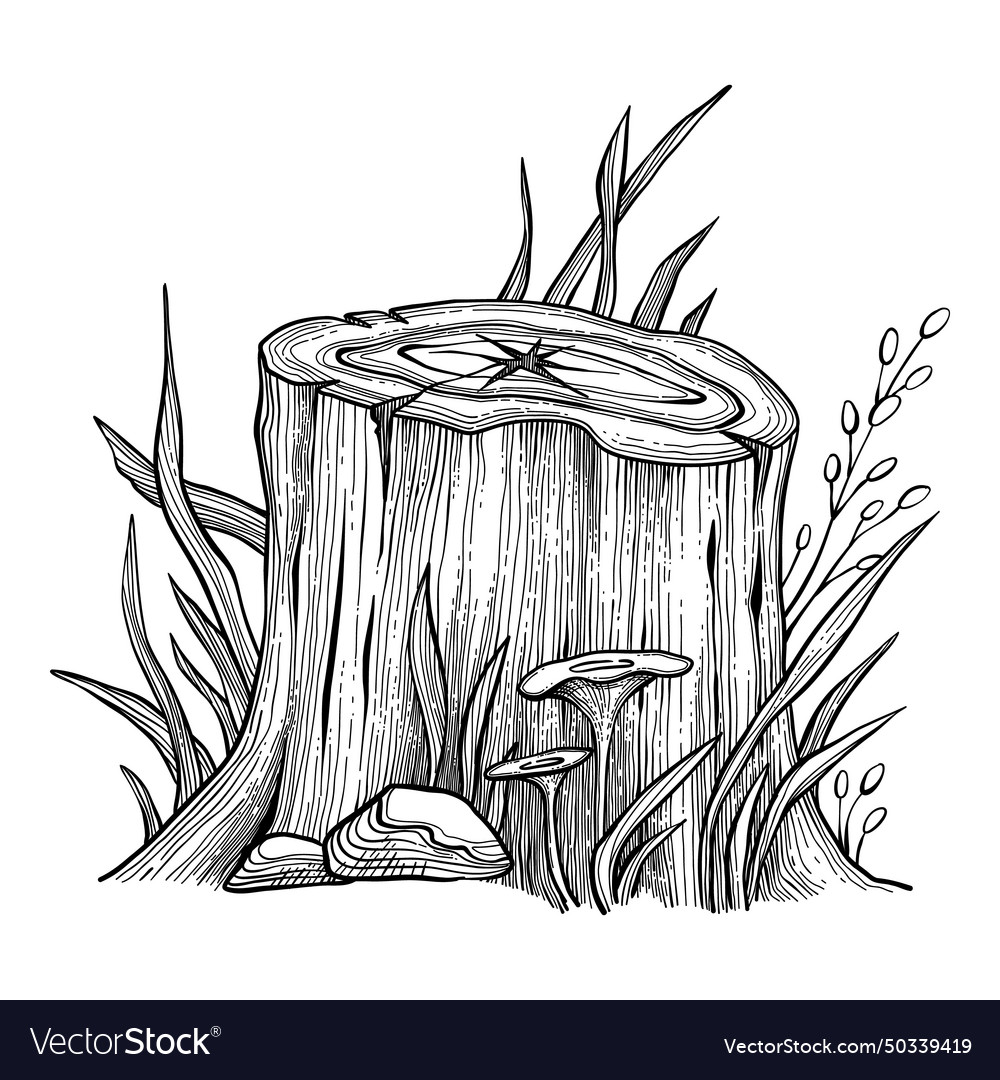 Tree stump and log set vector image Tree stump and log set