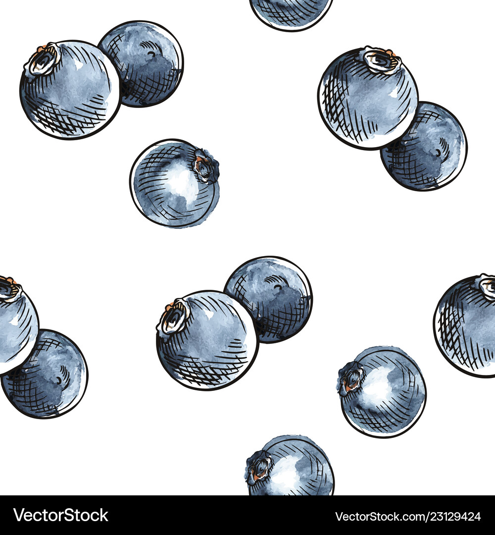 Blueberry seamless pattern Royalty Free Vector Image