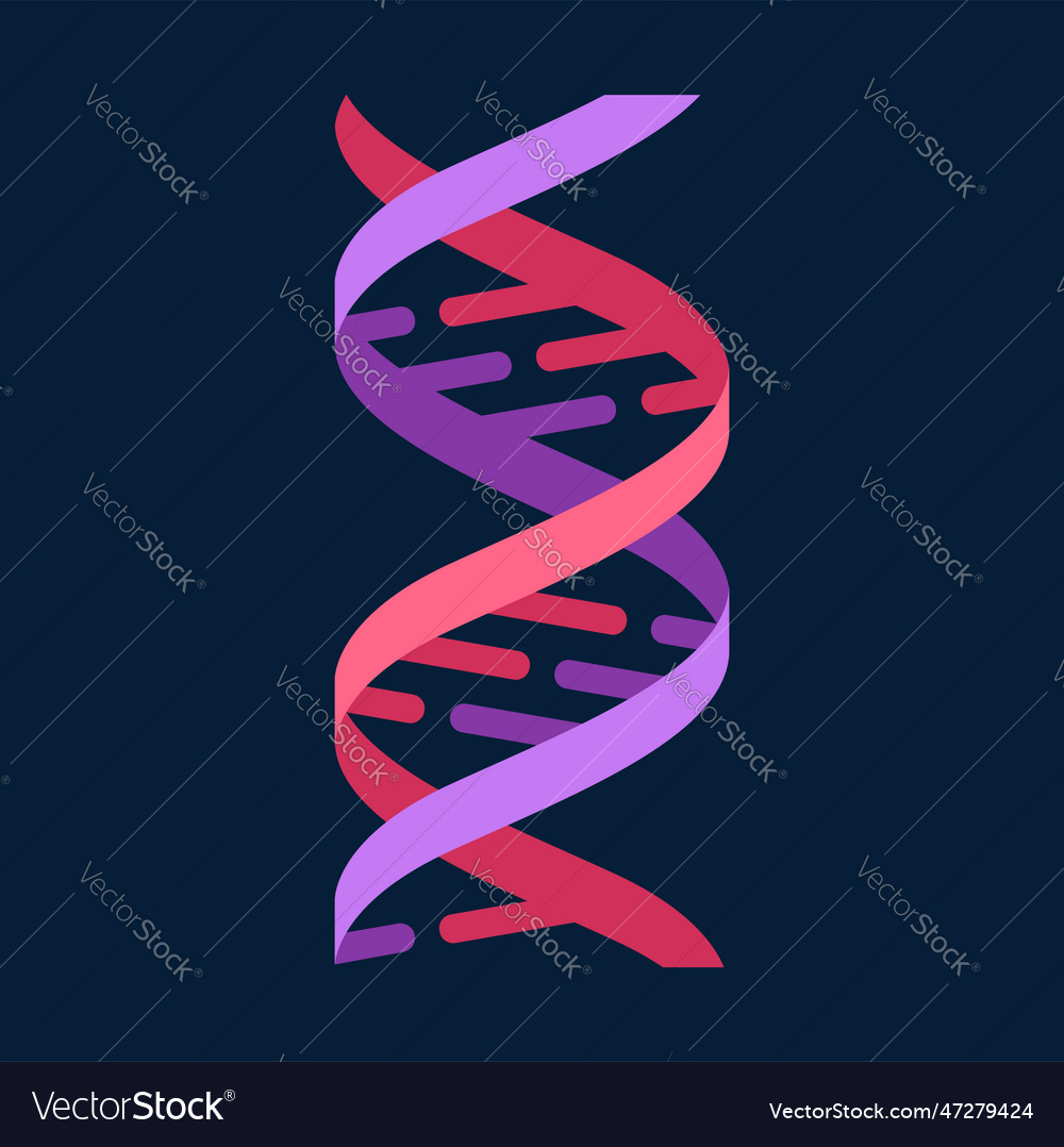 Dna abstract polygonal wireframe molecule helix Vector Image