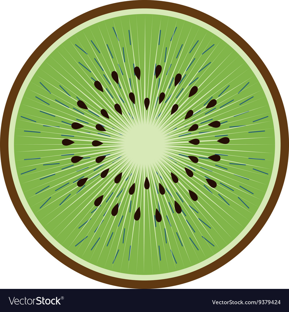 Healthy and organic food fruit icon