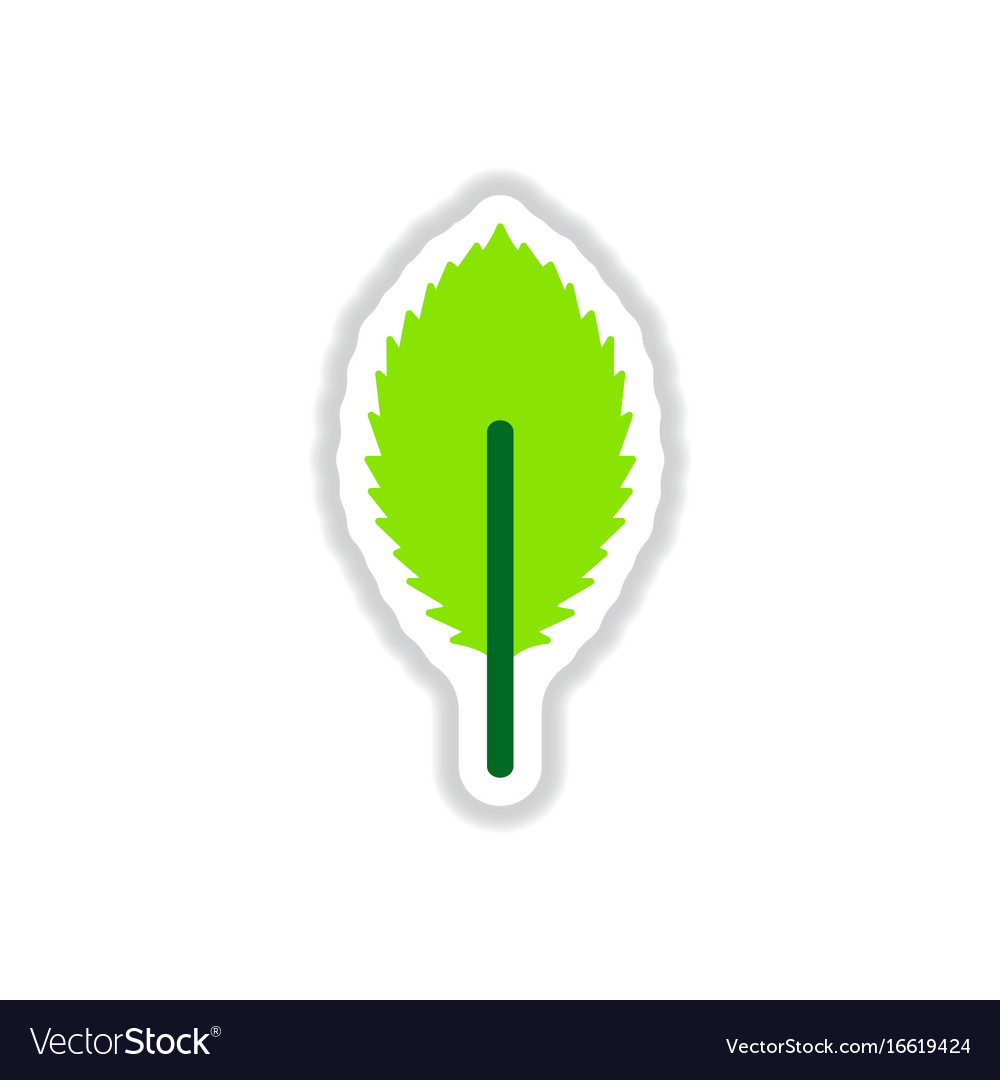 Label with leaf shadow icon design collection