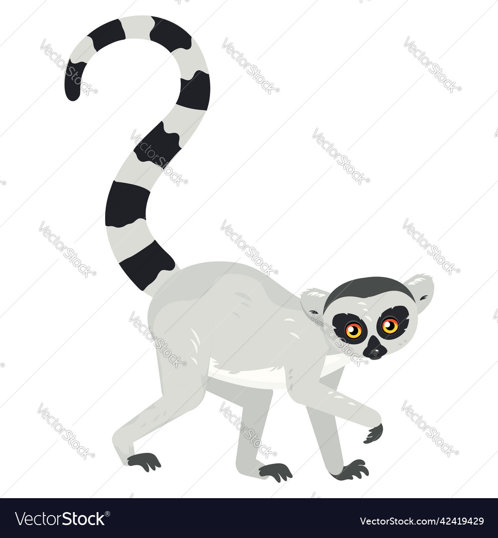 Cartoon lemur catta Royalty Free Vector Image - VectorStock