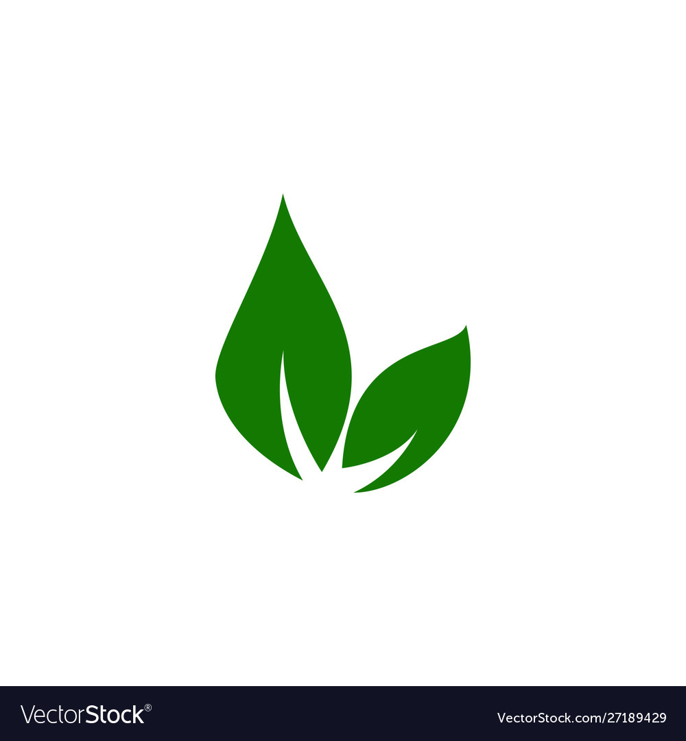 Leaf Icons Design Leaves Green Concept Isolated Vector Image