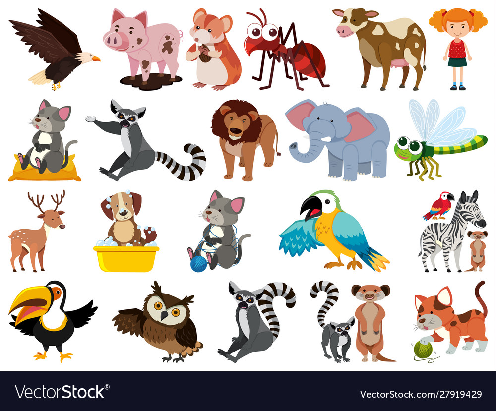 Set isolated objects theme animals Vector Image Set isolated objects theme animals