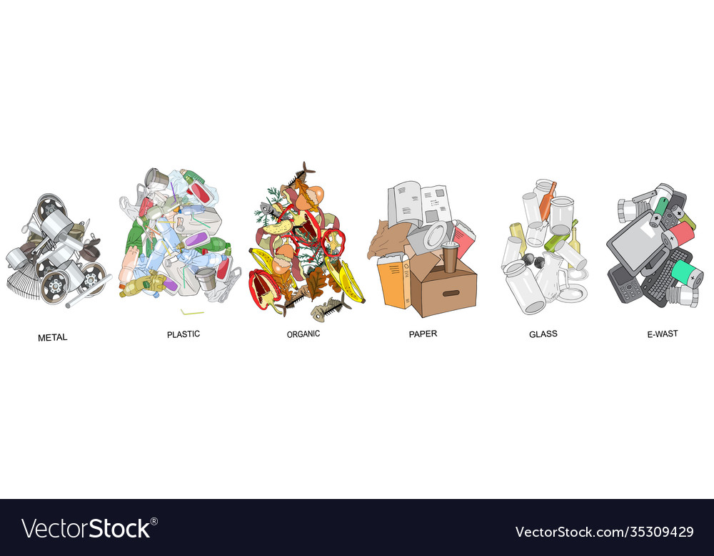 Sorted garbage set different types vector image Sorted garbage set different types