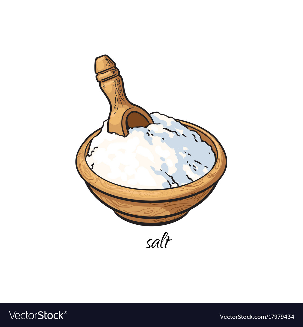 Bowl of sea salt with wooden shovel caption Vector Image