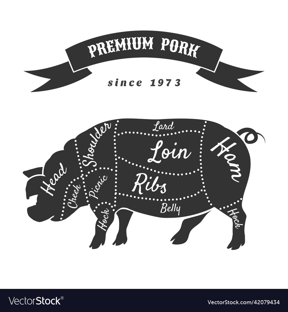 Cuts of pork or butcher scheme pig Royalty Free Vector Image