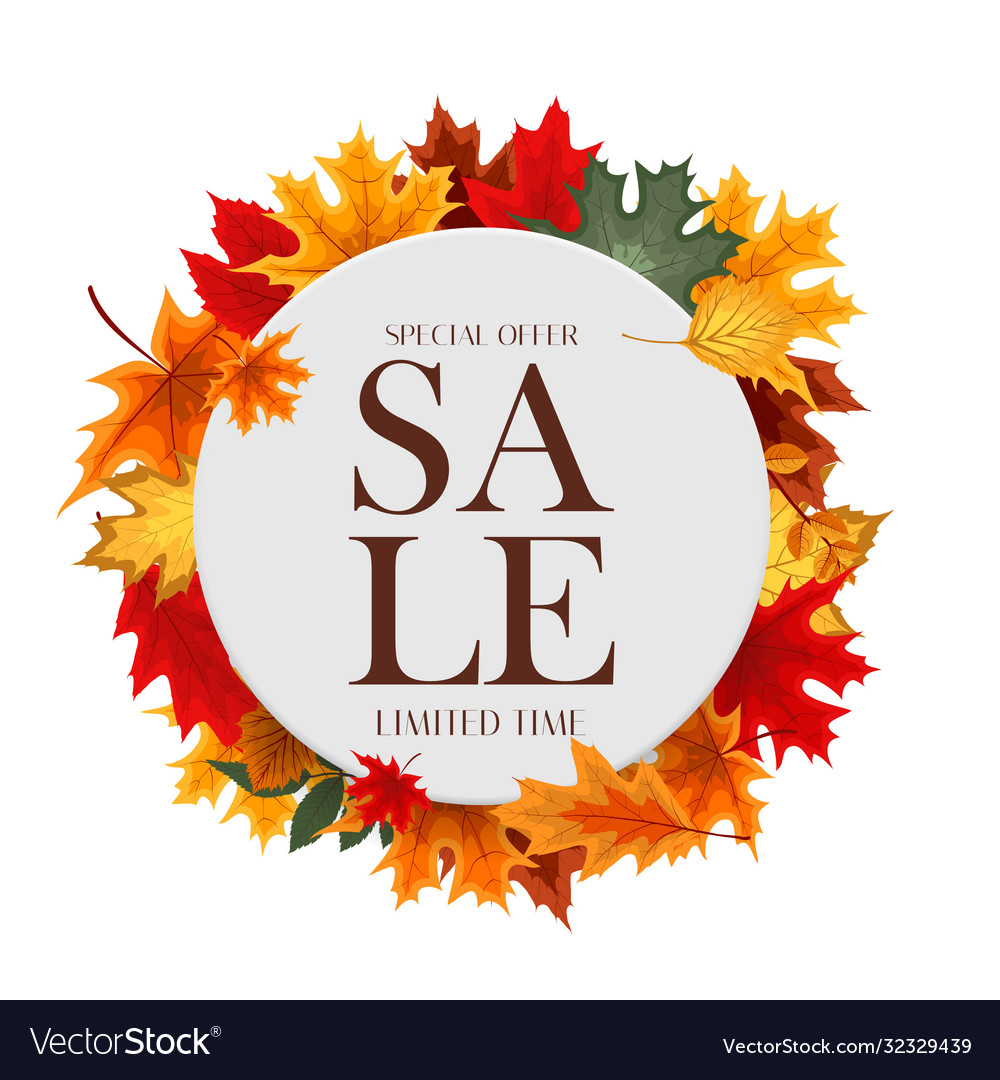 Autumn sale background template with leaves