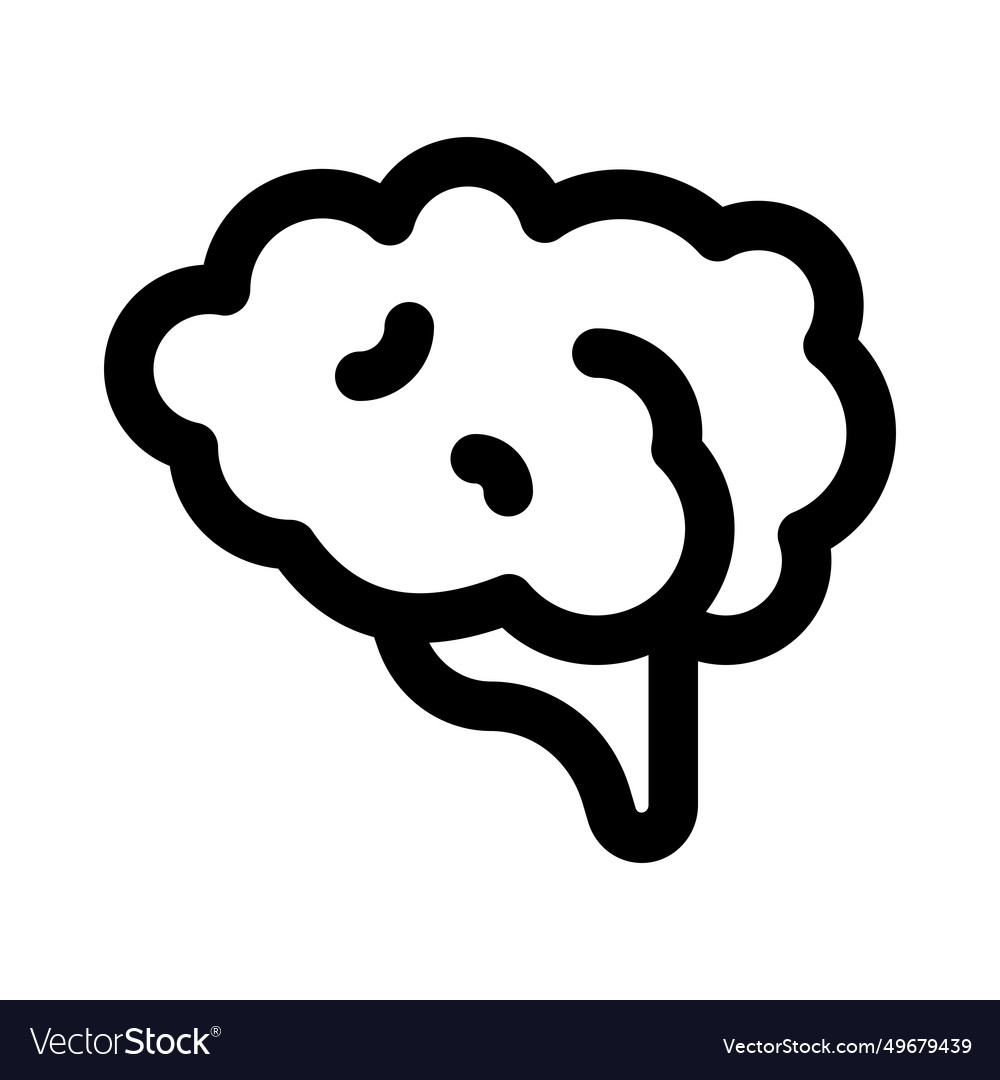 Brain one of the largest and most complex organs