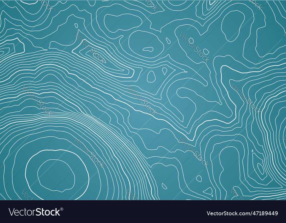 Abstract topographic map background with height vector image Abstract topographic map background with height
