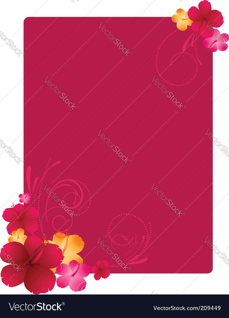 Floral frame with hibiscus flowers