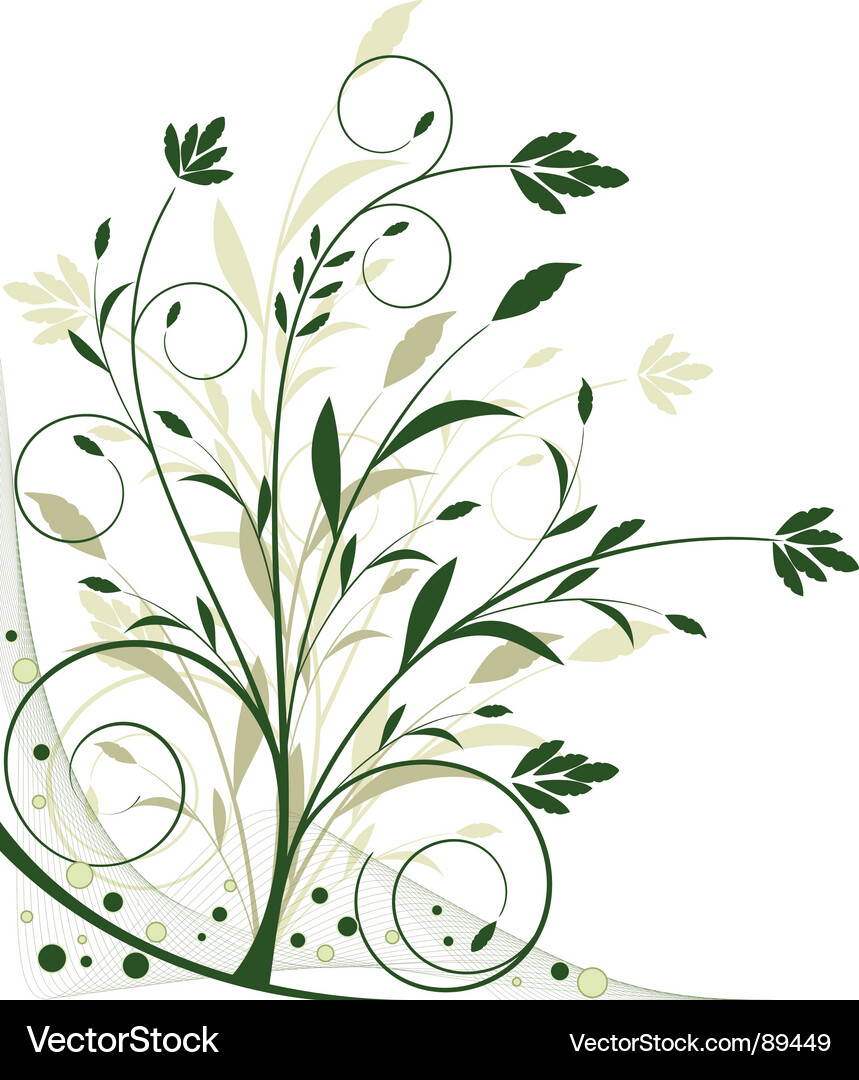 Floral Royalty Free Vector Image - VectorStock