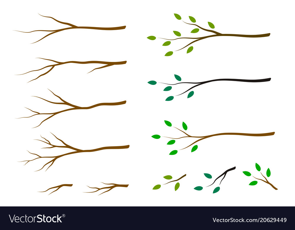 Set of tree branches with green leaves Royalty Free Vector