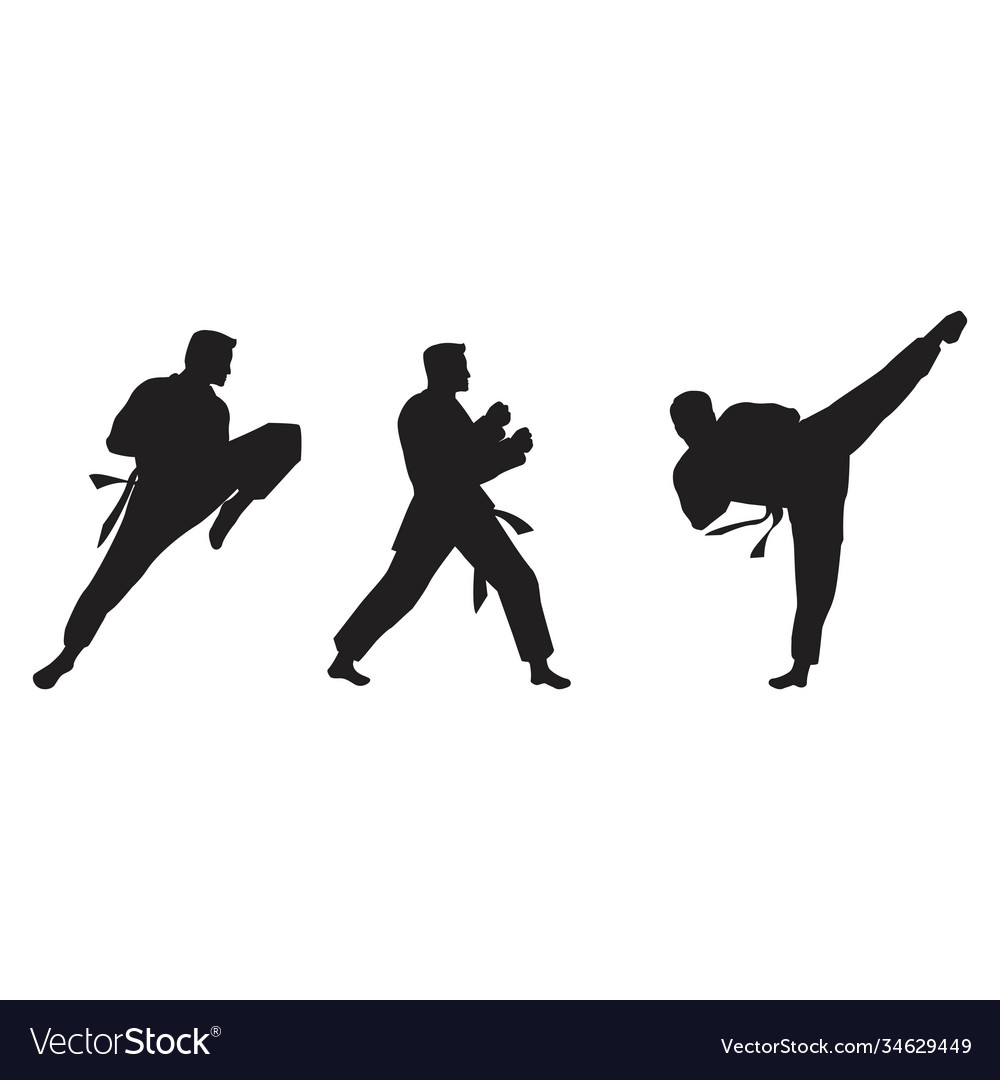 Taekwondo icon design Royalty Free Vector Image