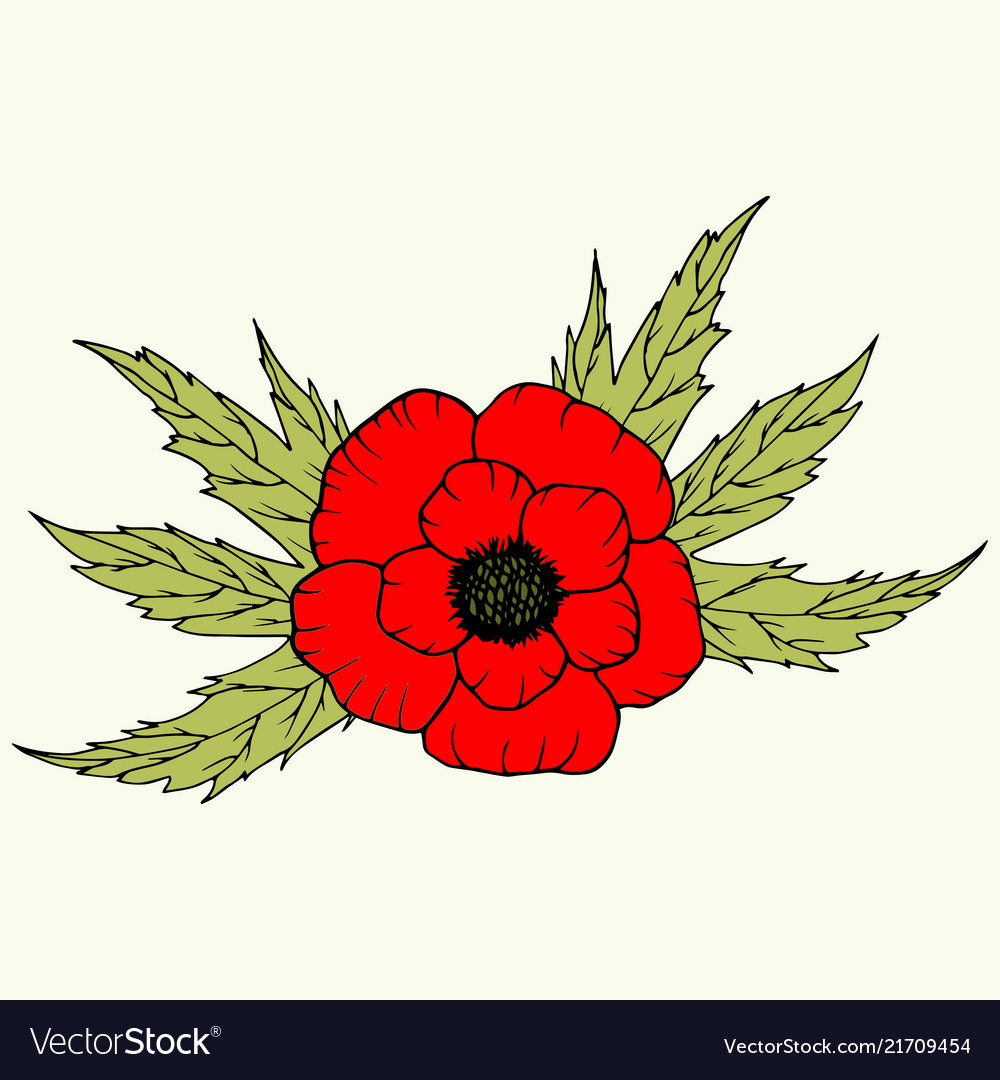 Poppy Design