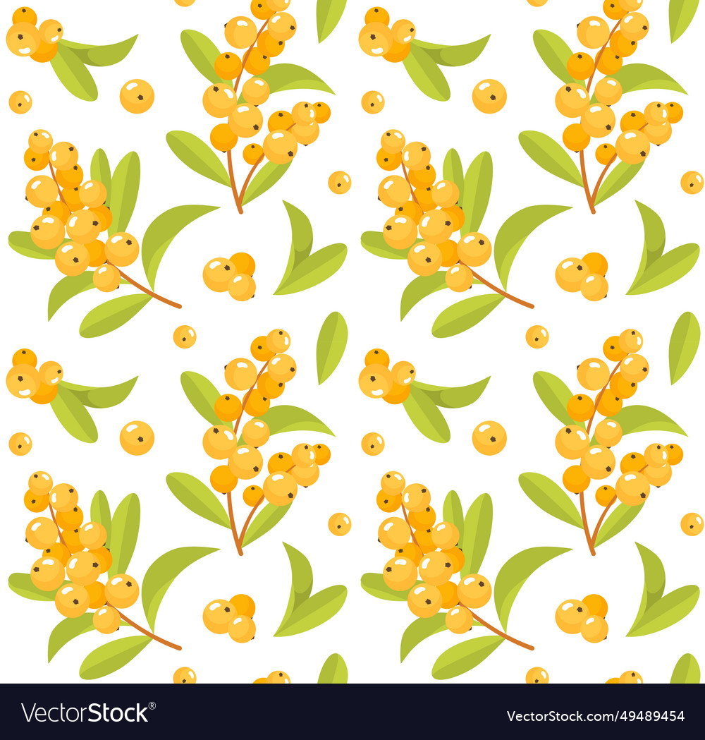 Sea buckthorn seamless pattern