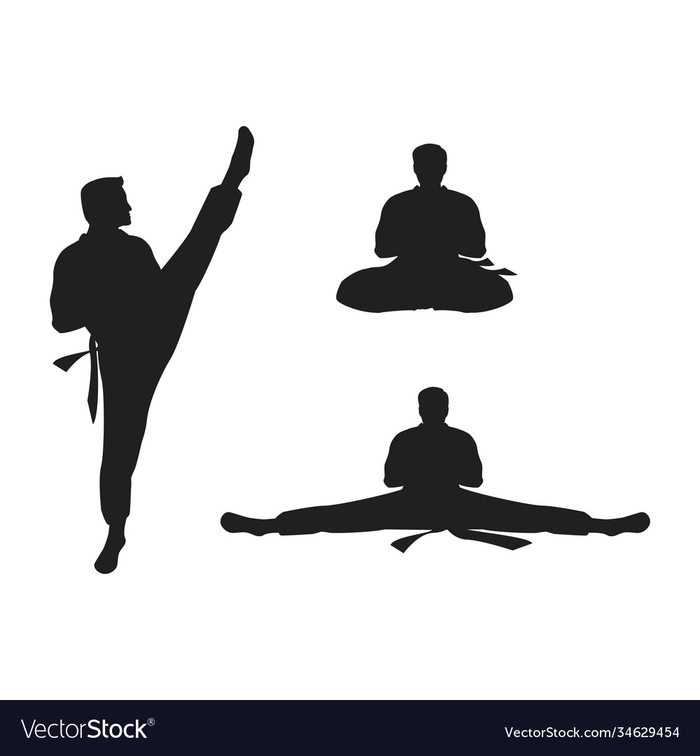 Taekwondo icon design Royalty Free Vector Image